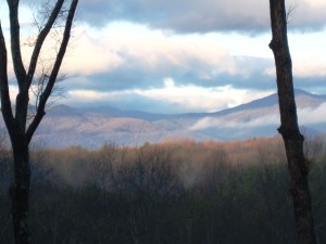 drywall and kale 004FB