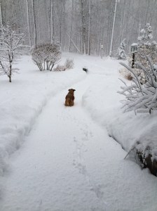 This is how Ms Bean feels about winter