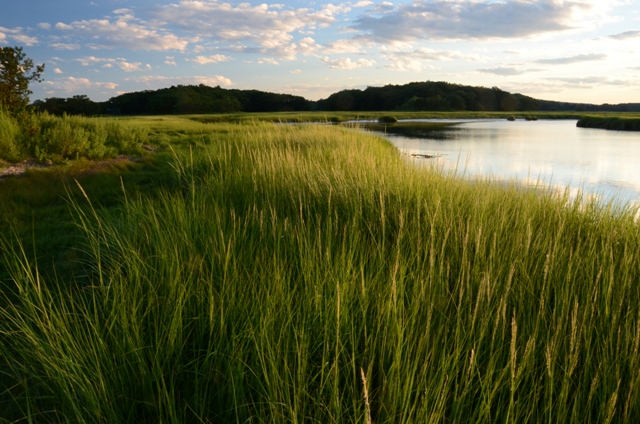 Rough-Meadows-credit-Alan-B-Ward