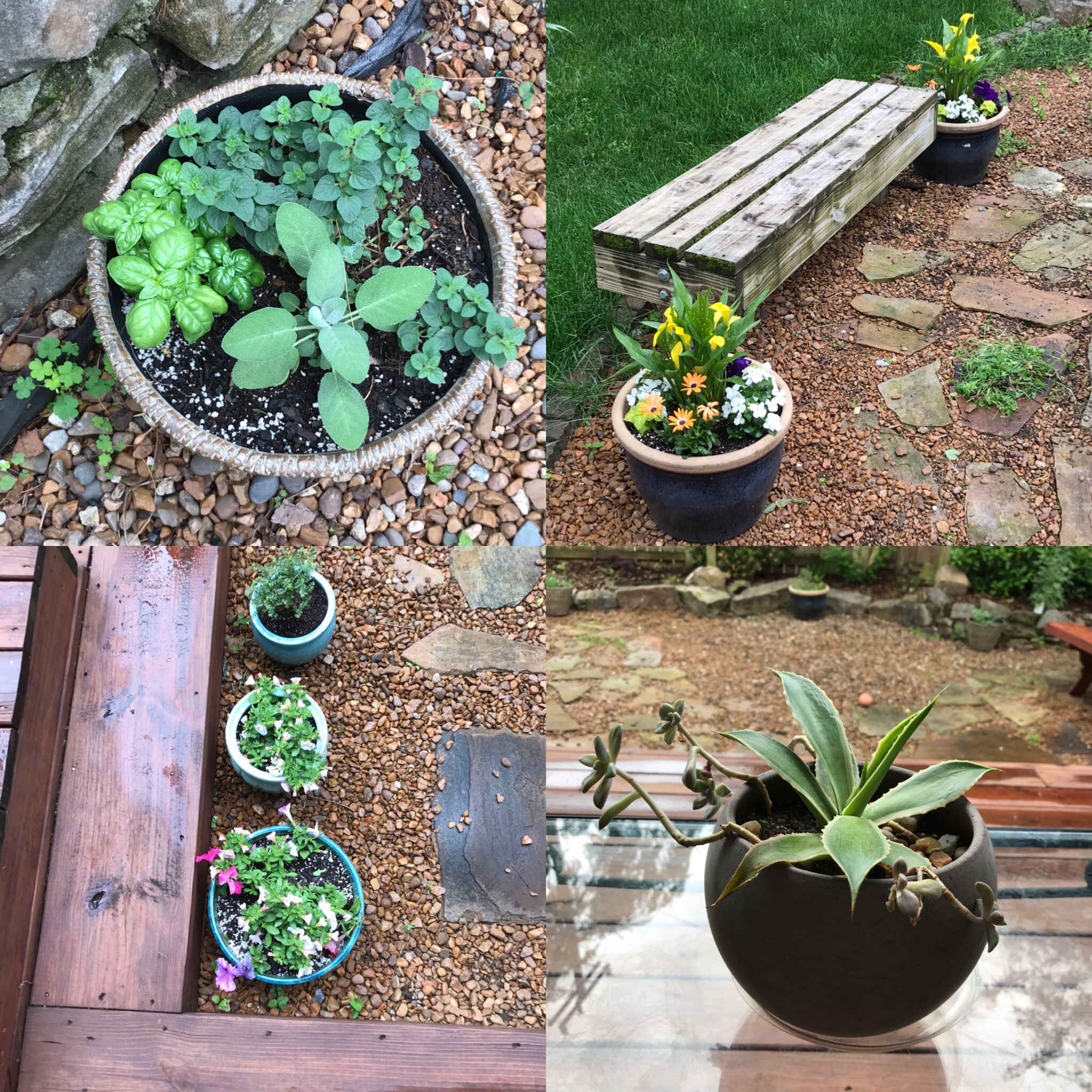 A1B4C81E-9736-4E19-B093-57B8586846C5