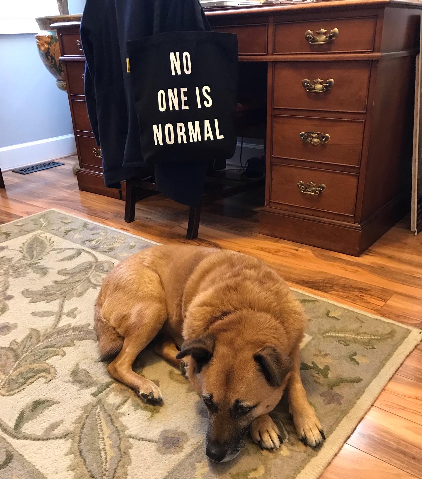 7D994361-A3DB-40C8-92A4-231BD9ED6955